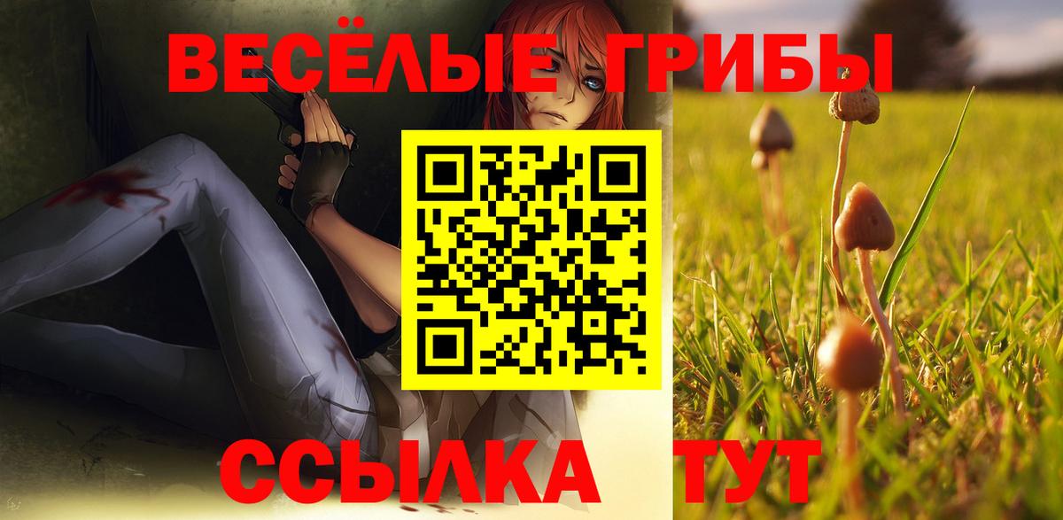 Псилоцибиновые грибы Psilocybe  Псилоцибиновые грибы мицелий  Вход с VPN  Назрань 